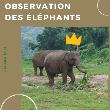 Nos Tours